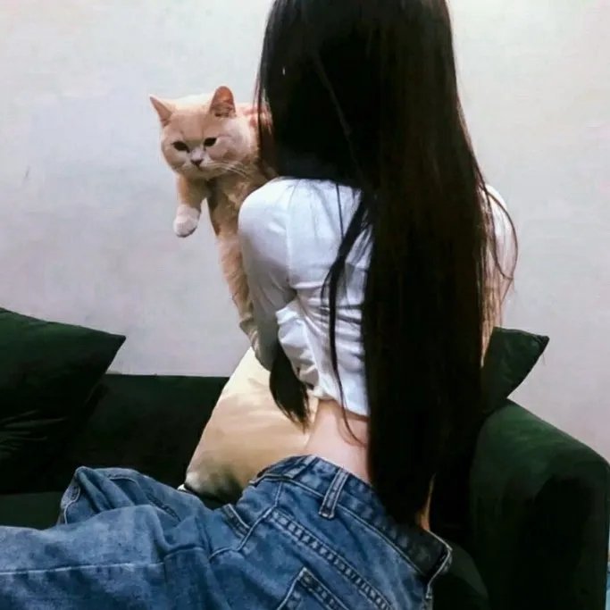 胖达直播间